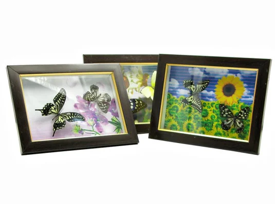Бабочки в рамке на фоне (2 шт.) (21×16 см) купить в интернет магазине подарков ПраздникШоп