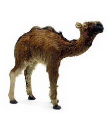 Верблюд (из кожи и меха) (12") (32×30×8 см) купить в интернет магазине подарков ПраздникШоп