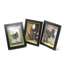 Бабочка в рамке (19.5×14.5×3 см) купить в интернет магазине подарков ПраздникШоп