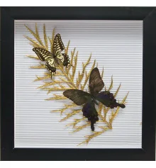Бабочки в рамке «На листе» (30.5×30.5×3.5 см) купить в интернет магазине подарков ПраздникШоп