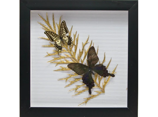 Бабочки в рамке «На листе» (30.5×30.5×3.5 см) купить в интернет магазине подарков ПраздникШоп