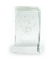 Параллелограмм хрустальный с голограммой (5×8CM) купить в интернет магазине подарков ПраздникШоп