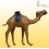 Верблюд кожа (24") (70×62×17 см) купить в интернет магазине подарков ПраздникШоп
