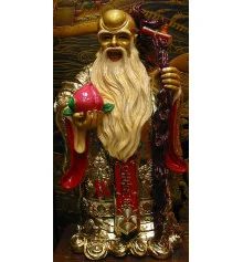 Шоусин золото (60 см) купить в интернет магазине подарков ПраздникШоп