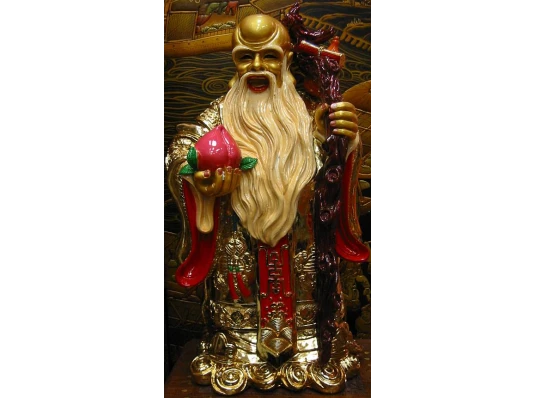 Шоусин золото (60 см) купить в интернет магазине подарков ПраздникШоп