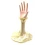 Подставка под бижутерию «Рука» желтая (19.5×5.5×3.5 см) купить в интернет магазине подарков ПраздникШоп