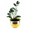 Кашпо «Золота Розкіш» (18×25.5 см)
