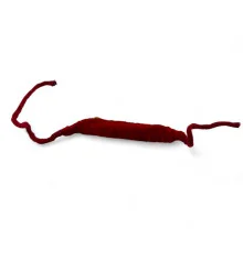 Колокольчики для танцев красные (5 колокольчиков) купить в интернет магазине подарков ПраздникШоп