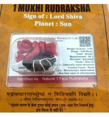 Амулет-талисман Рудракша 1 Мукхи (1 Лик) купить в интернет магазине подарков ПраздникШоп