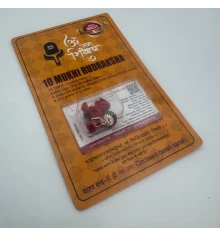 Амулет-талисман Рудракша 10 Мукхи (10 Ликов) купить в интернет магазине подарков ПраздникШоп