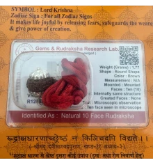 Амулет-талисман Рудракша 10 Мукхи (10 Ликов) купить в интернет магазине подарков ПраздникШоп