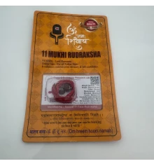 Амулет-талисман Рудракша 11 Мукхи (11 Ликов) купить в интернет магазине подарков ПраздникШоп