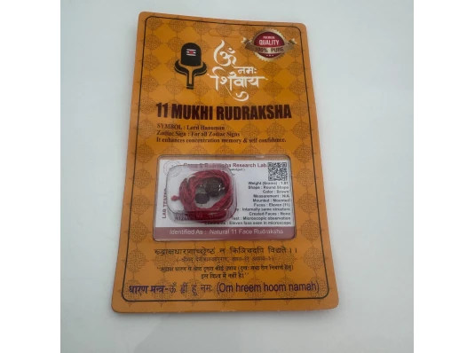 Амулет-талисман Рудракша 11 Мукхи (11 Ликов) купить в интернет магазине подарков ПраздникШоп