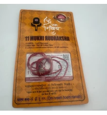 Амулет-талисман Рудракша 11 Мукхи (11 Ликов) купить в интернет магазине подарков ПраздникШоп