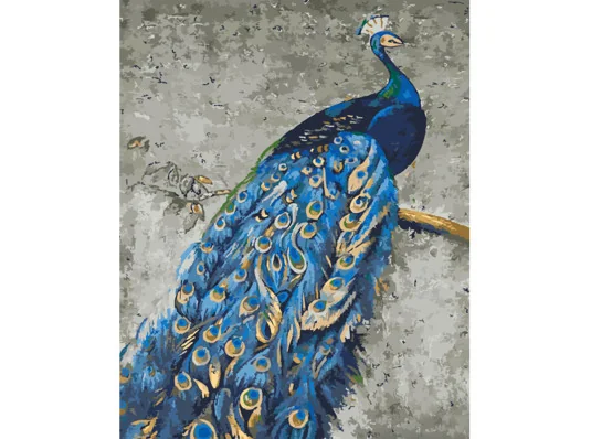 Картина по номерам ПРЕМИУМ Величественный павлин с лаком и с уровнем размером 40х50 см (GS1409) купить в интернет магазине подарков ПраздникШоп