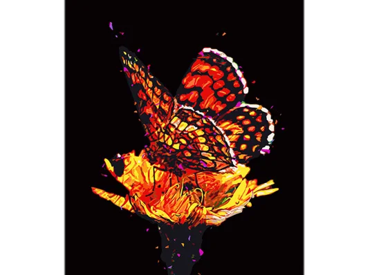 Картина по номерам Огненная бабочка на цвете на черном фоне размером 40х50 см (AH1098) купить в интернет магазине подарков ПраздникШоп