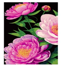 Картина по номерам Пионы в оттенках розового на черном фоне размером 40х50 см (AH1101) купить в интернет магазине подарков ПраздникШоп