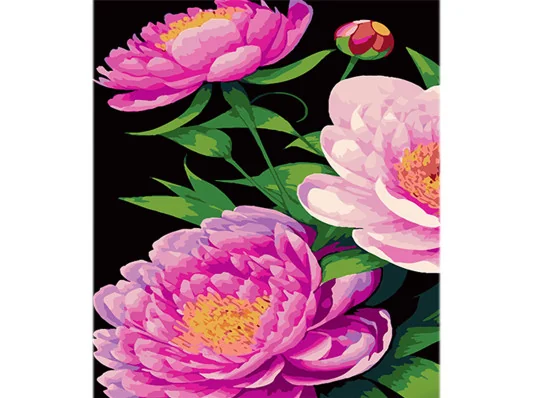Картина по номерам Пионы в оттенках розового на черном фоне размером 40х50 см (AH1101) купить в интернет магазине подарков ПраздникШоп