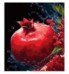 Картина по номерам Гранатовая феерия в воде на черном фоне размером 40х50 см (AH1102) купить в интернет магазине подарков ПраздникШоп