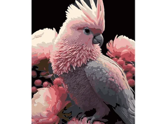Картина по номерам Какаду в розовом наряде на черном фоне размером 40х50 см (AH1109) купить в интернет магазине подарков ПраздникШоп
