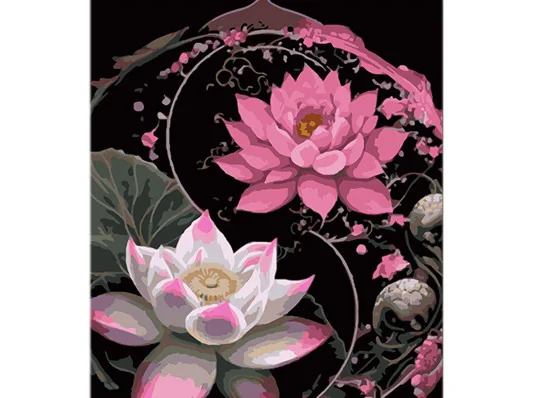 Картина по номерам Цветение лотоса на черном фоне размером 40х50 см (AH1113) купить в интернет магазине подарков ПраздникШоп