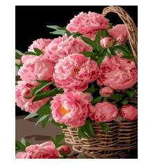 Картина по номерам ПРЕМИУМ Цветочная радость на черном фоне размером 40х50 см (AH1152) купить в интернет магазине подарков ПраздникШоп