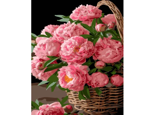 Картина по номерам ПРЕМИУМ Цветочная радость на черном фоне размером 40х50 см (AH1152) купить в интернет магазине подарков ПраздникШоп