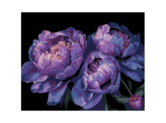 Картина по номерам ПРЕМИУМ Цвет сумерек на черном фоне размером 40х50 см (AH1157) купить в интернет магазине подарков ПраздникШоп