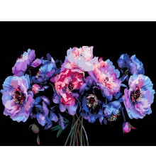 Картина по номерам ПРЕМИУМ Магия в цвете на черном фоне размером 40х50 см (AH1158) купить в интернет магазине подарков ПраздникШоп