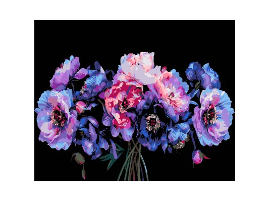 Картина по номерам ПРЕМИУМ Магия в цвете на черном фоне размером 40х50 см (AH1158) купить в интернет магазине подарков ПраздникШоп