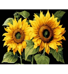 Картина по номерам ПРЕМИУМ Золотое лето на черном фоне размером 40х50 см (AH1165) купить в интернет магазине подарков ПраздникШоп