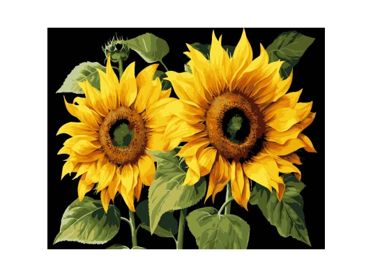 Картина по номерам ПРЕМИУМ Золотое лето на черном фоне размером 40х50 см (AH1165) купить в интернет магазине подарков ПраздникШоп