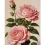 Картина по номерам ПРЕМИУМ Розовая роза размером 30х40 см (SS1220) купить в интернет магазине подарков ПраздникШоп
