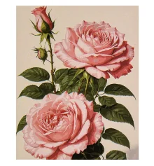 Картина по номерам ПРЕМИУМ Розовая роза размером 30х40 см (SS1220) купить в интернет магазине подарков ПраздникШоп