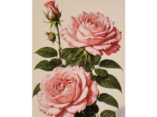 Картина по номерам ПРЕМИУМ Розовая роза размером 30х40 см (SS1220) купить в интернет магазине подарков ПраздникШоп