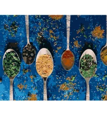 Картина по номерам ПРЕМИУМ Специи с лаком размером 40х50 см (GS1340) купить в интернет магазине подарков ПраздникШоп