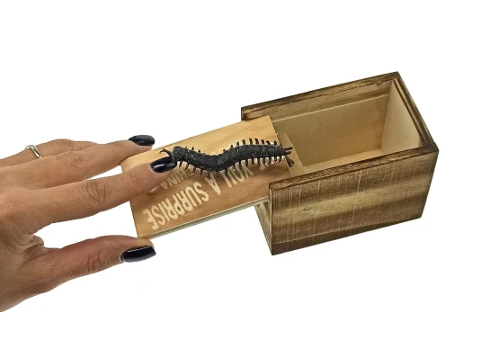 Сколопендра в коробке (9.5×6×6.5 см) купить в интернет магазине подарков ПраздникШоп