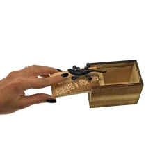 Саламандра в коробке (9.5×6×6.5 см) купить в интернет магазине подарков ПраздникШоп