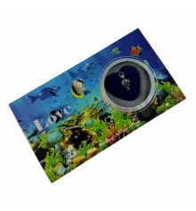 Жемчужина желаний с кулоном (18×10×3.5 см) купить в интернет магазине подарков ПраздникШоп