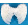 Крылья ангела 45 х 35 см