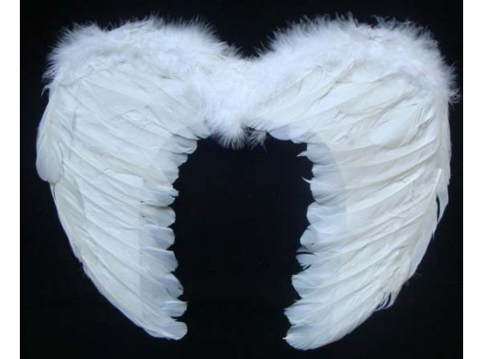 Крылья ангела 55х40 см купить в интернет магазине подарков ПраздникШоп