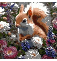 Картина по номерам Белка среди цветов  30х30 (ES-0912) купить в интернет магазине подарков ПраздникШоп