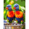 Картина за номерами Яскраві папуги   30Х40 (SS-1258)