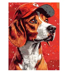 Картина по номерам Пес в кепке  30Х40 (SS-1260) купить в интернет магазине подарков ПраздникШоп