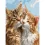 Картина по номерам Пушистые коты  30Х40 (SS-1277) купить в интернет магазине подарков ПраздникШоп