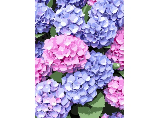 Картина по номерам Гортензии  30Х40 (SS-1284) купить в интернет магазине подарков ПраздникШоп