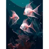 Картина за номерами Яскраві риби  30Х40 (SS-1291)