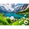 Картина за номерами Альпійська долина  30Х40 (SS-1292)