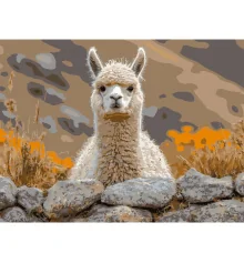Картина по номерам Альпака на камне  30Х40 (SS-1300) купить в интернет магазине подарков ПраздникШоп