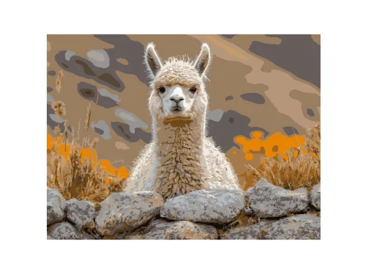 Картина по номерам Альпака на камне  30Х40 (SS-1300) купить в интернет магазине подарков ПраздникШоп